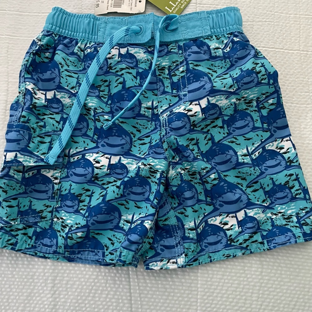 Toddler Boys 2T LL Bean Bathing Suit
